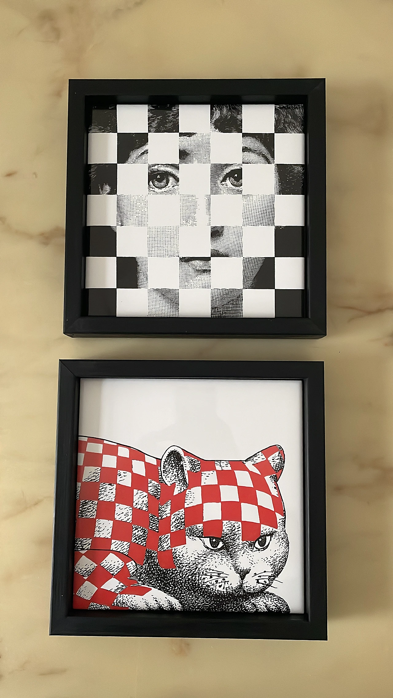 Pair of Fornasetti tiles 1