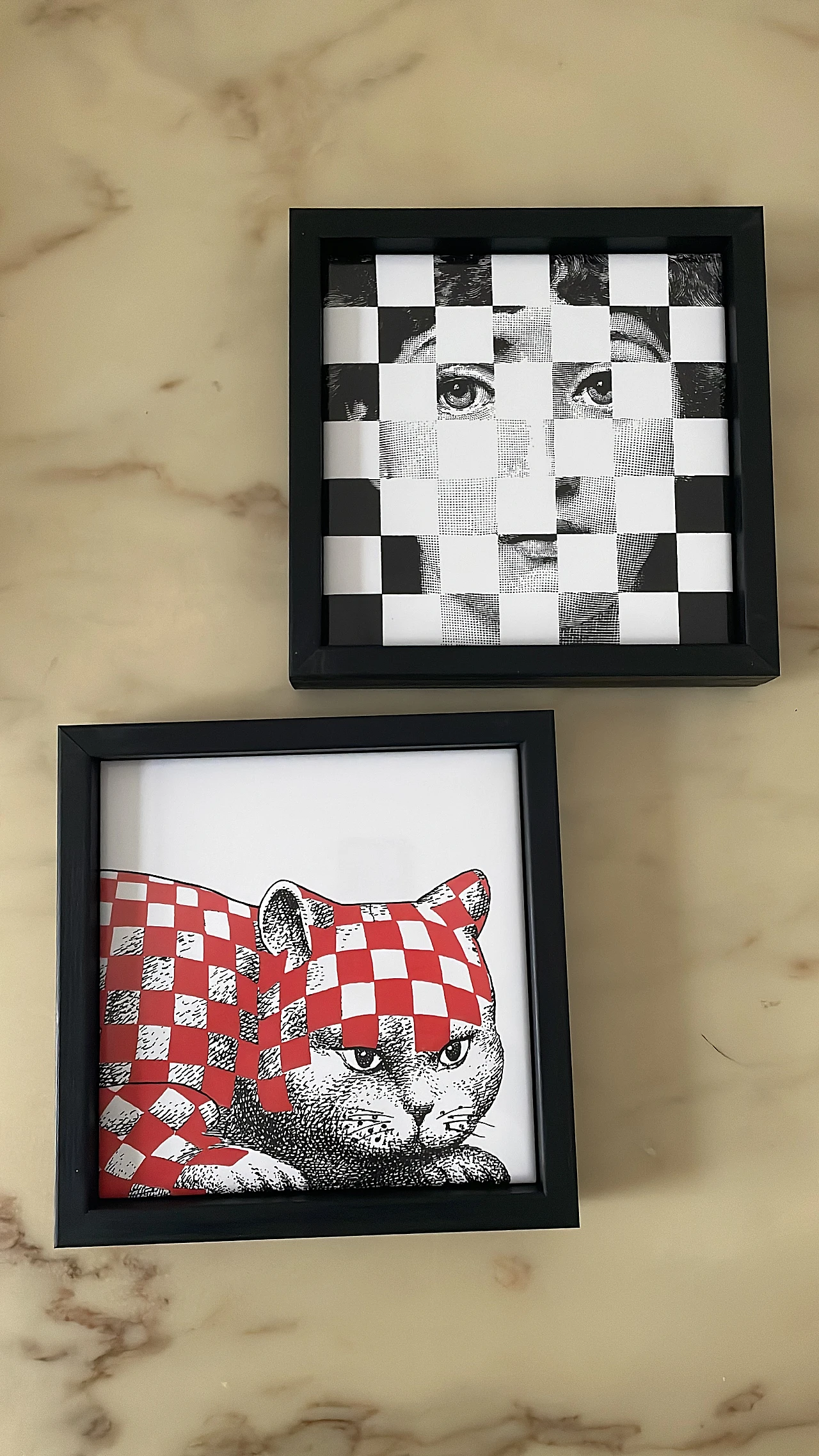 Pair of Fornasetti tiles 2