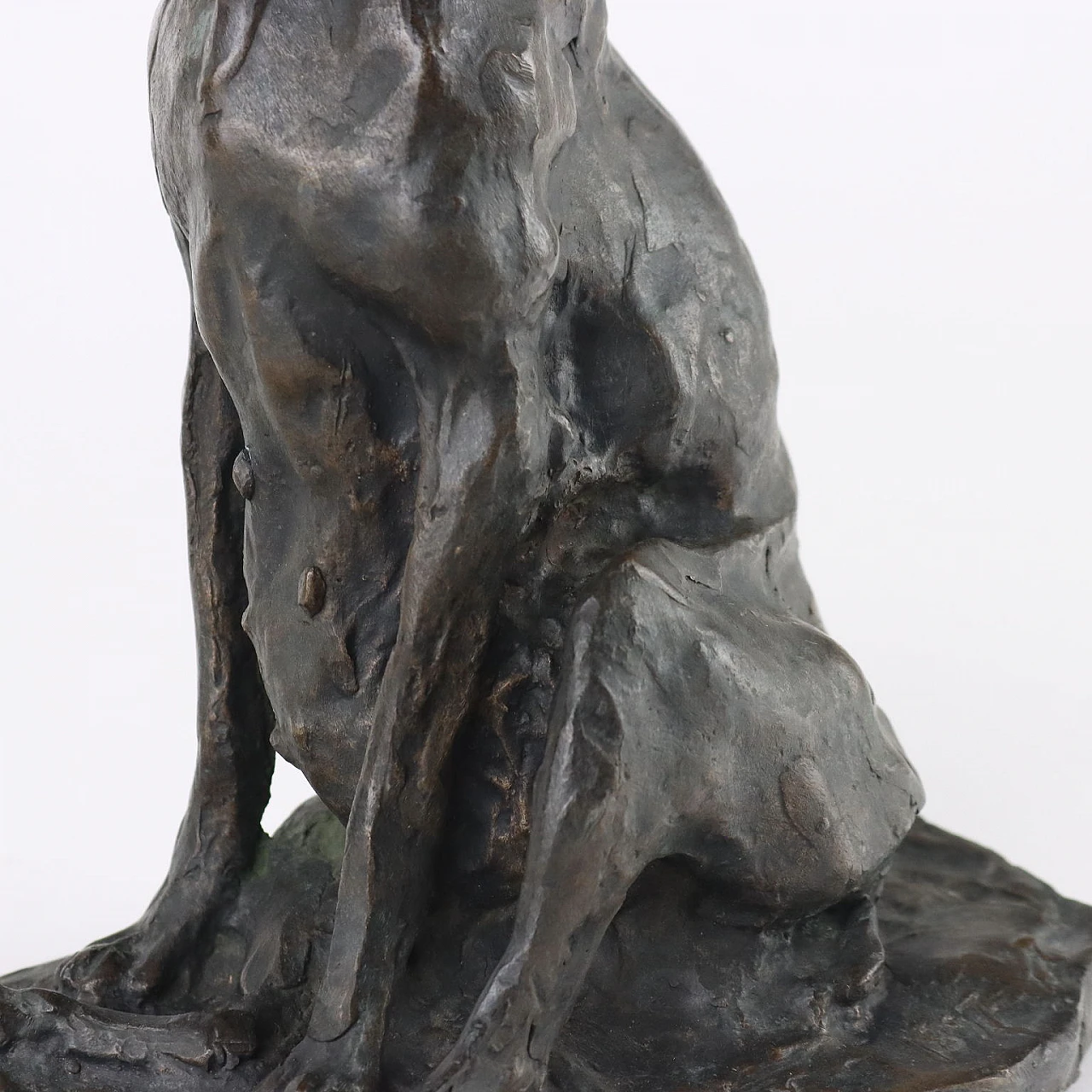 Paolo Petrovitch Troubetzkoy, Cane seduto, scultura in bronzo 5