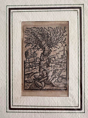 n.a., Boy Mounted one Frog, Woodcut 19th century