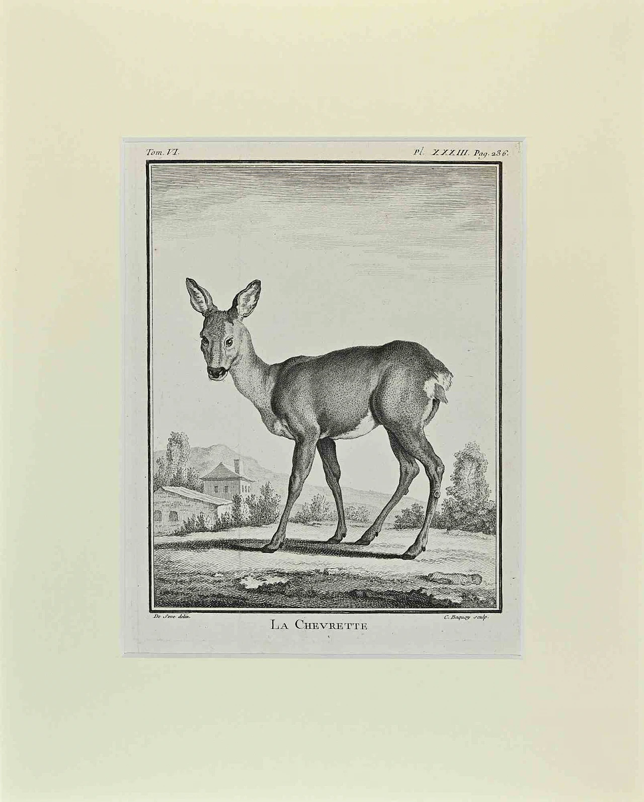 Buvée l'Américain, La Chevrette, Etching 18th century 1