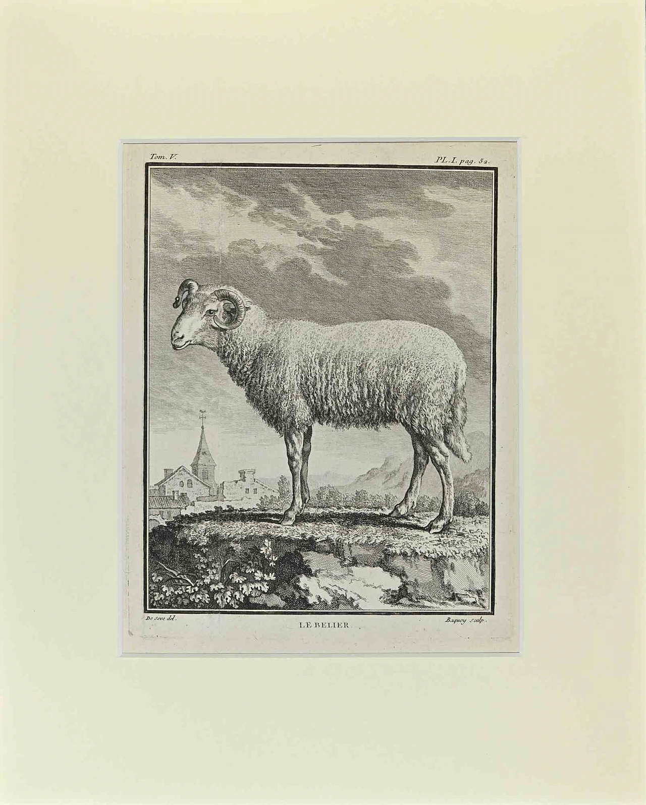 Buvée l'Américain, Le Belier, Etching 18th century 1