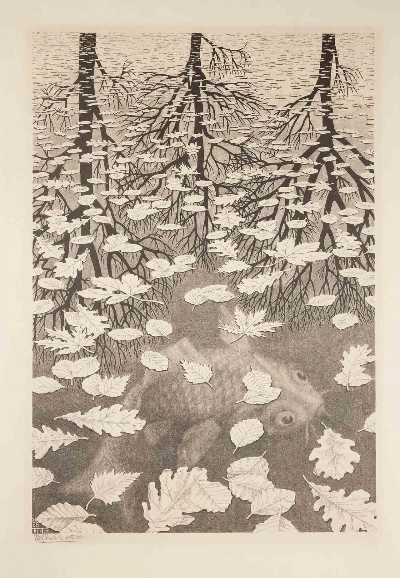 Maurits Cornelis Escher, Three Worlds, Lithograph 1940s-1950s 1