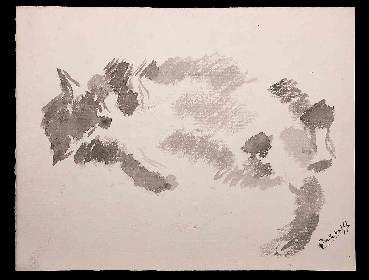 Giselle Halff, Gatto, Disegno Anni 2000 1