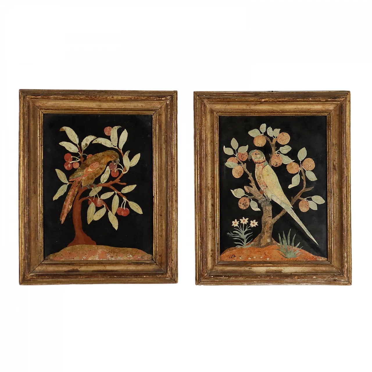 Pair of polychrome scagliola plaques depicting parrots, 17th century 1