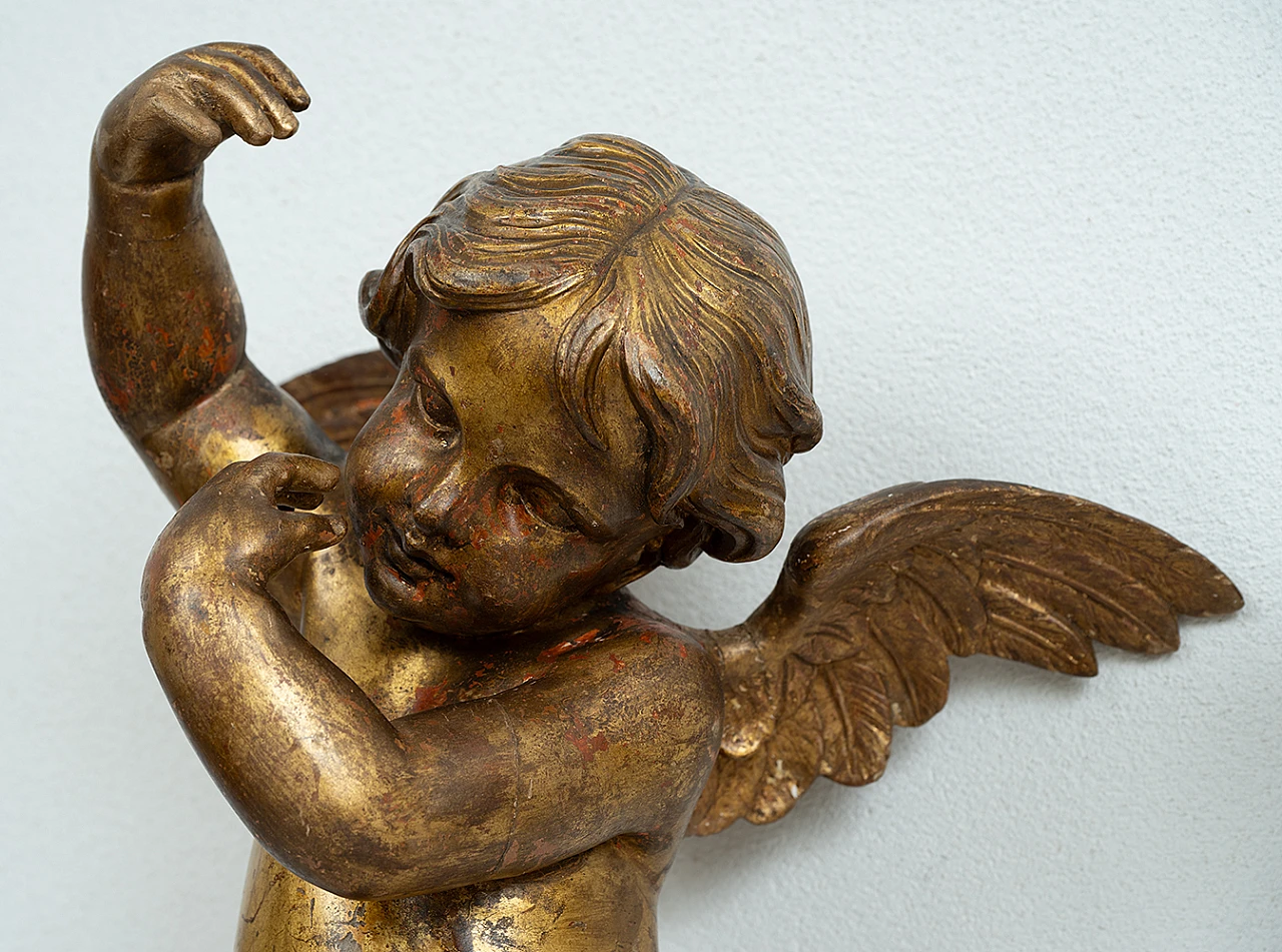 Pair of winged cherubs gilded and carved wood, Florence 16th century 2