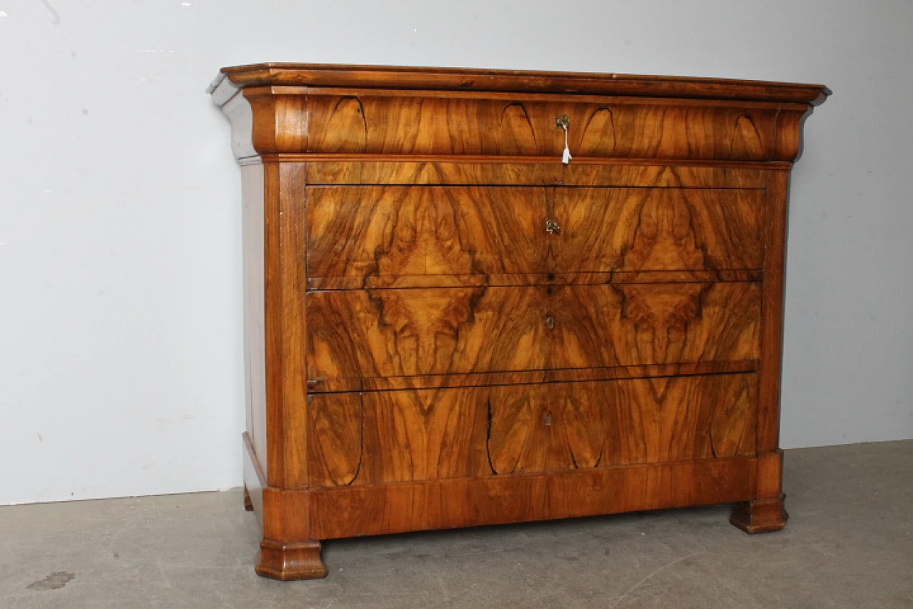 Chest of drawers in solid cappuccino blond walnut and burl, 1850 1