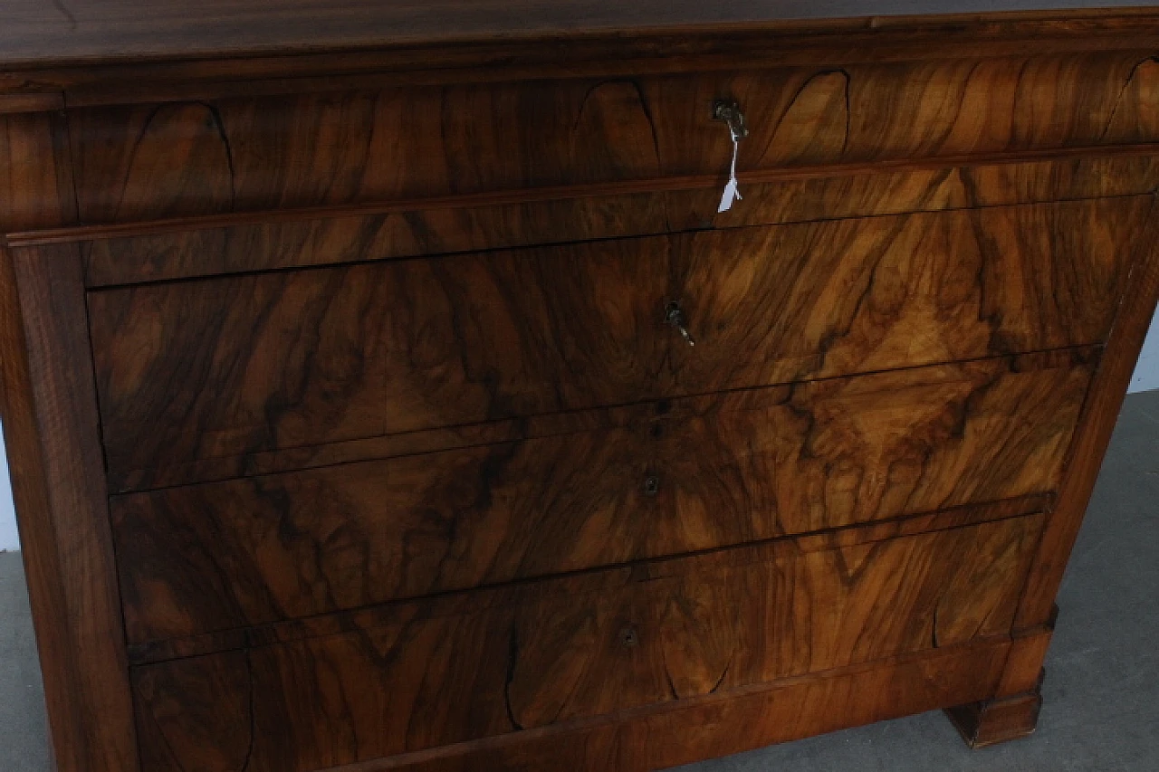 Chest of drawers in solid cappuccino blond walnut and burl, 1850 2