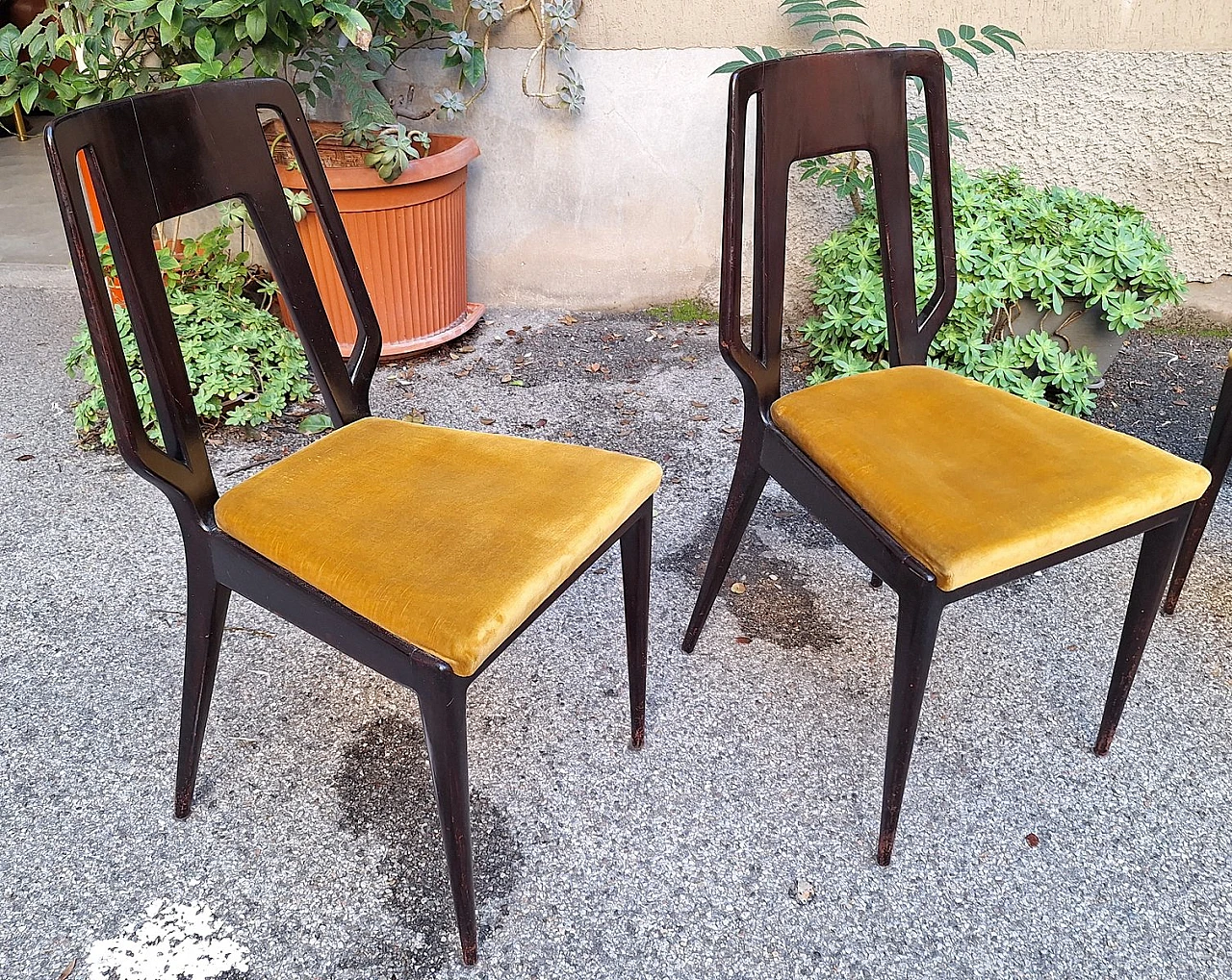 4 Mahogany chairs with round table by Ico Parisi, 1950s 3