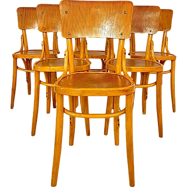 Bistro chairs in bent beech wood, 50s