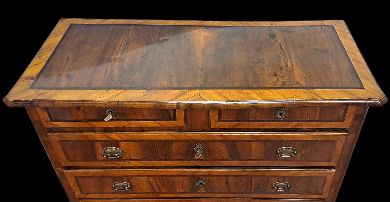 Paneled Chest of drawers made in Veneto Italy, 18th century 3