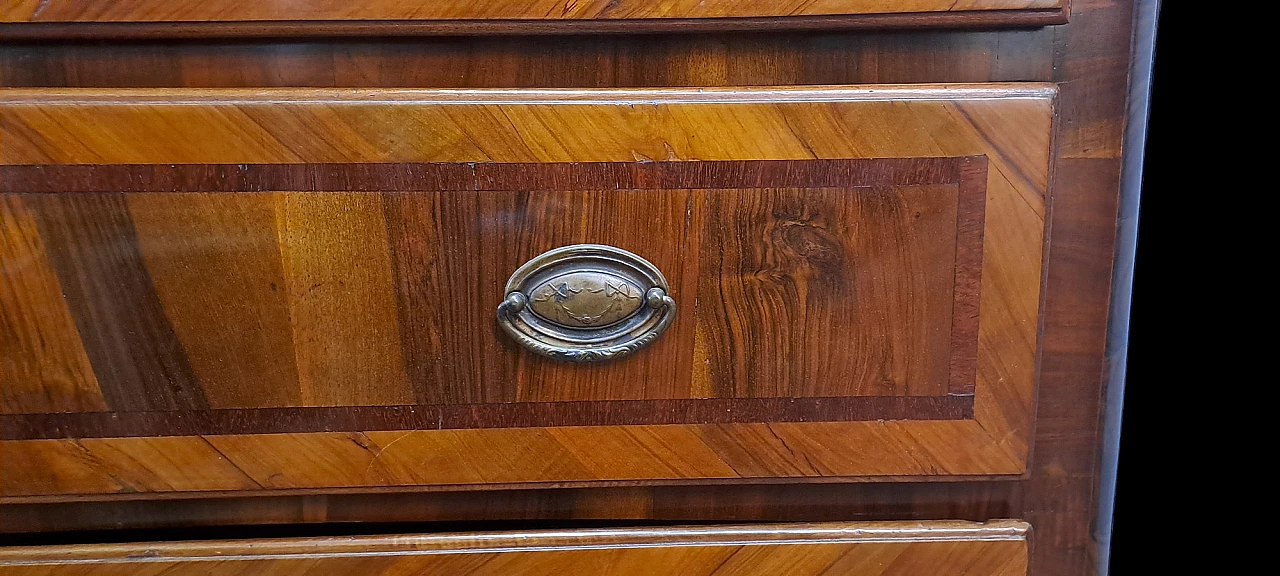 Paneled Chest of drawers made in Veneto Italy, 18th century 6