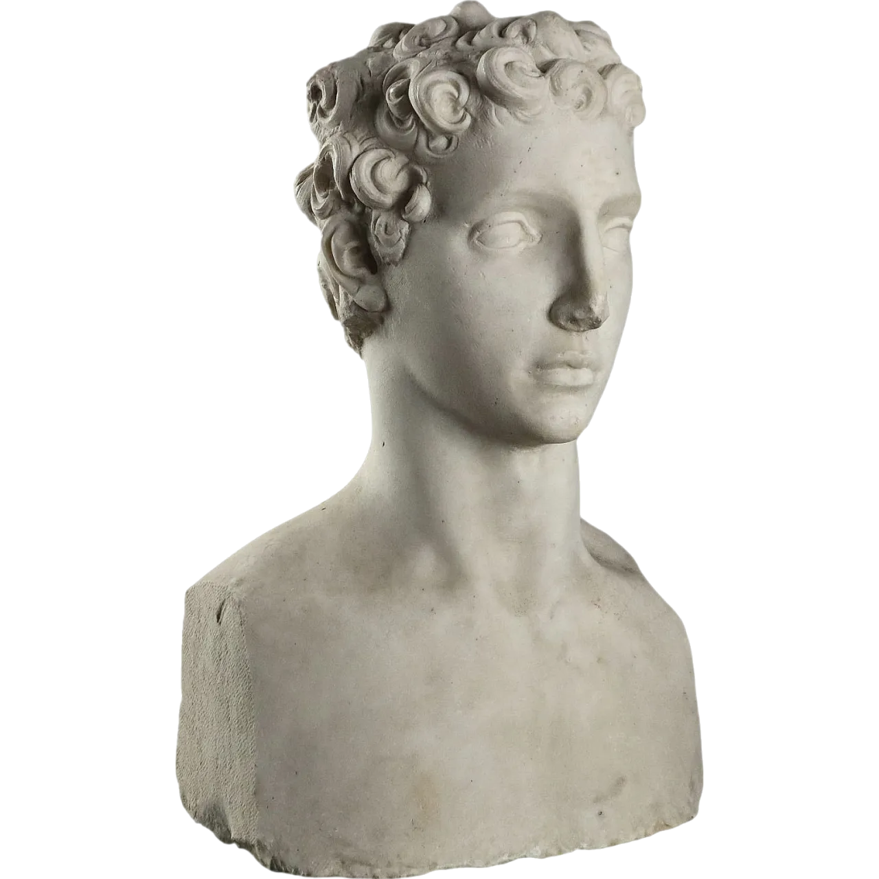 A erm of young man marble sculpture, 19th century 8