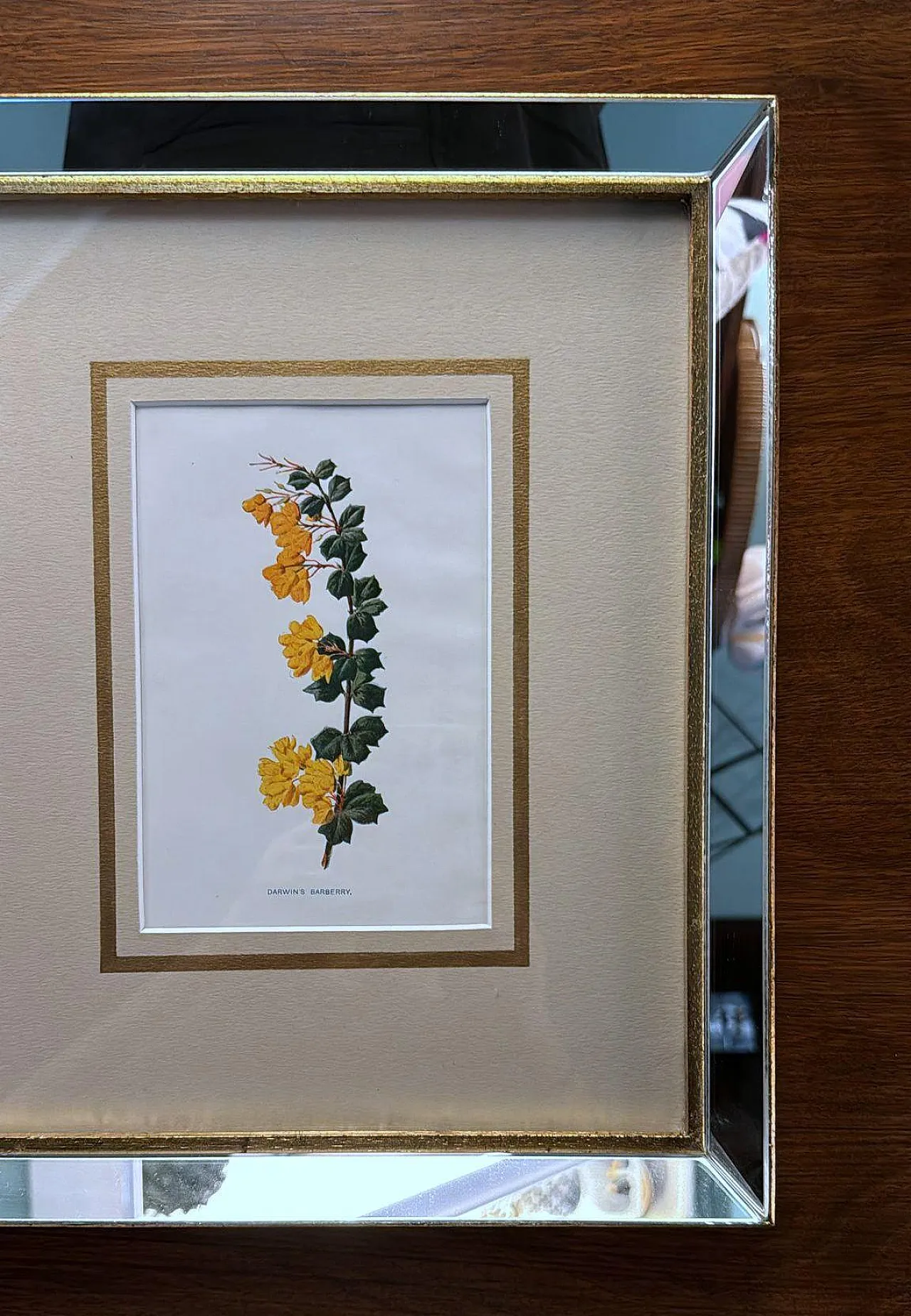 Cornice con specchi e stampe cromolitografiche inglesi di fiori, '900 5