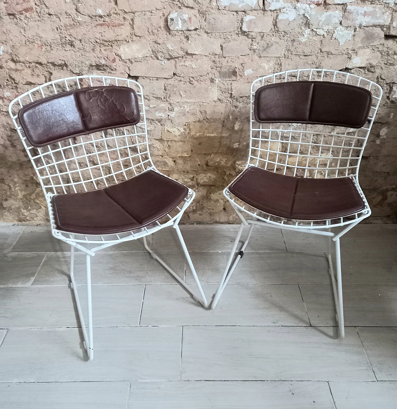 Pair of Bertoia Knoll chairs with leather cushion, 60s 1