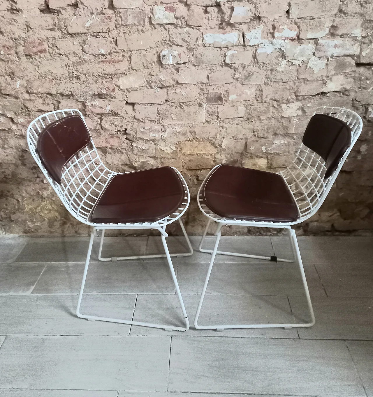 Pair of Bertoia Knoll chairs with leather cushion, 60s 2