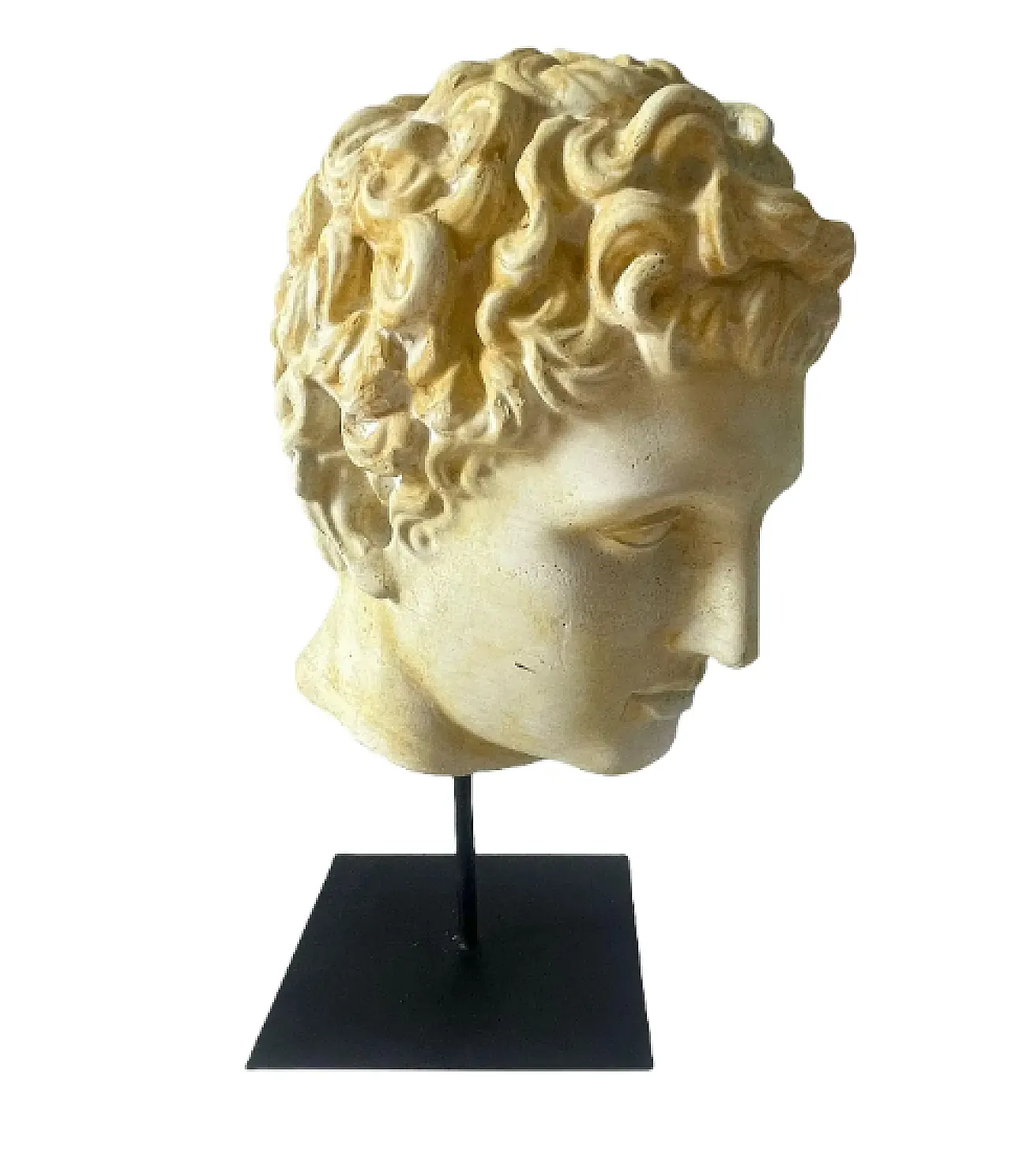 Head of Eros in plaster, 1950s 1