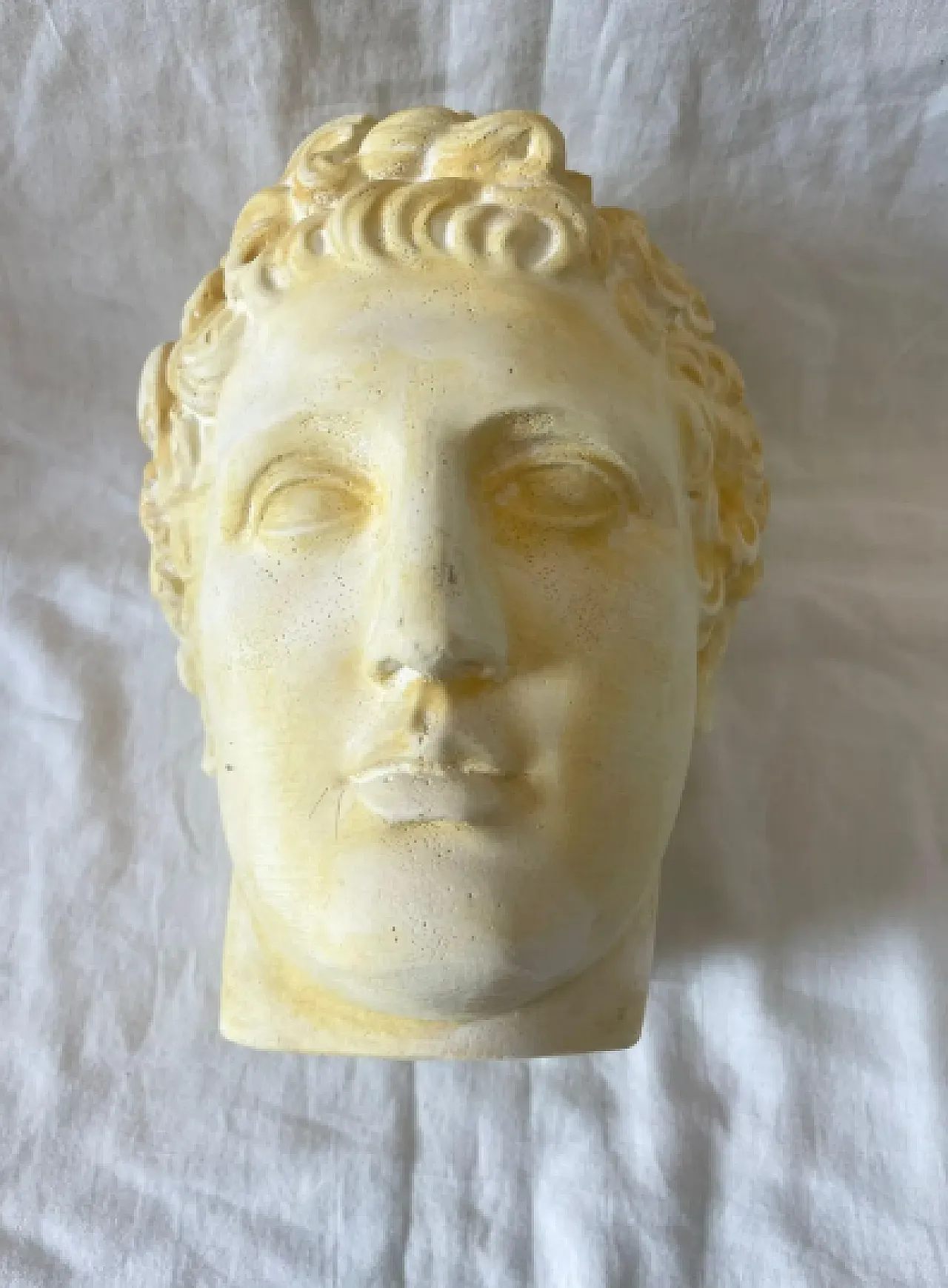 Head of Eros in plaster, 1950s 6