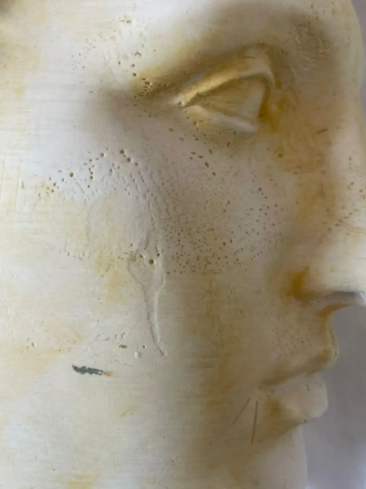 Head of Eros in plaster, 1950s 12