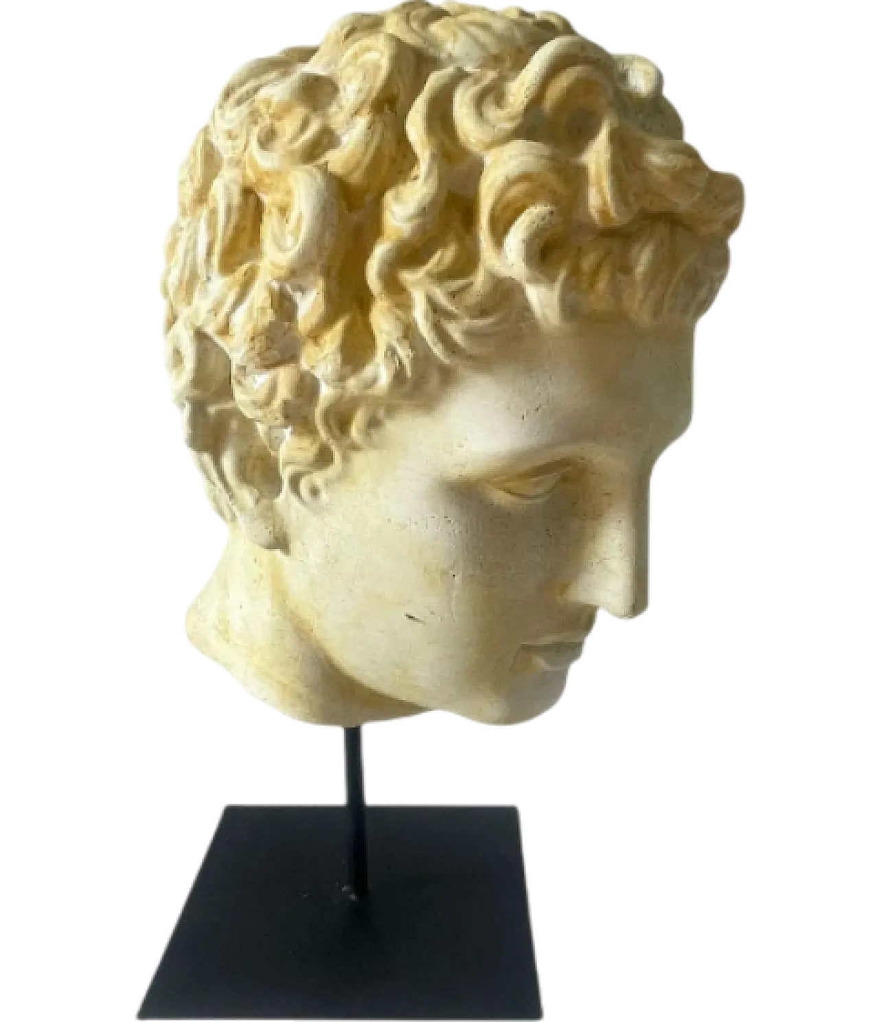 Head of Eros in plaster, 1950s 13