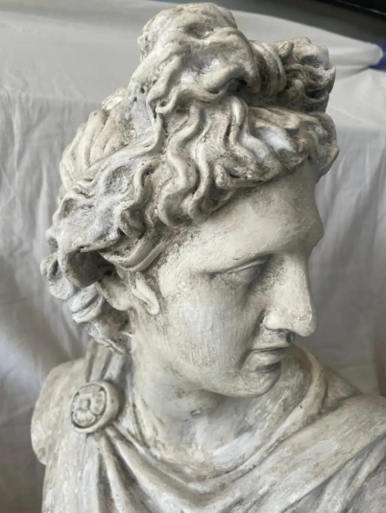 Plaster bust of Apollo of Belvedere, 1930s 6