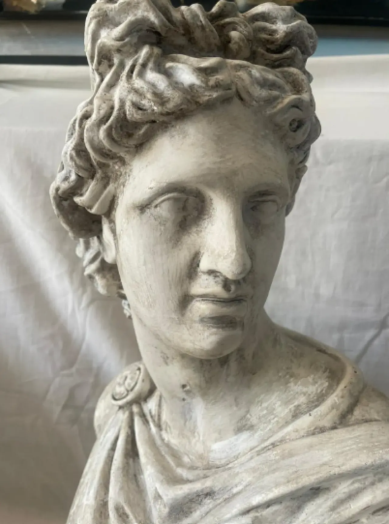 Busto di Apollo del Belvedere in gesso, anni '30 7