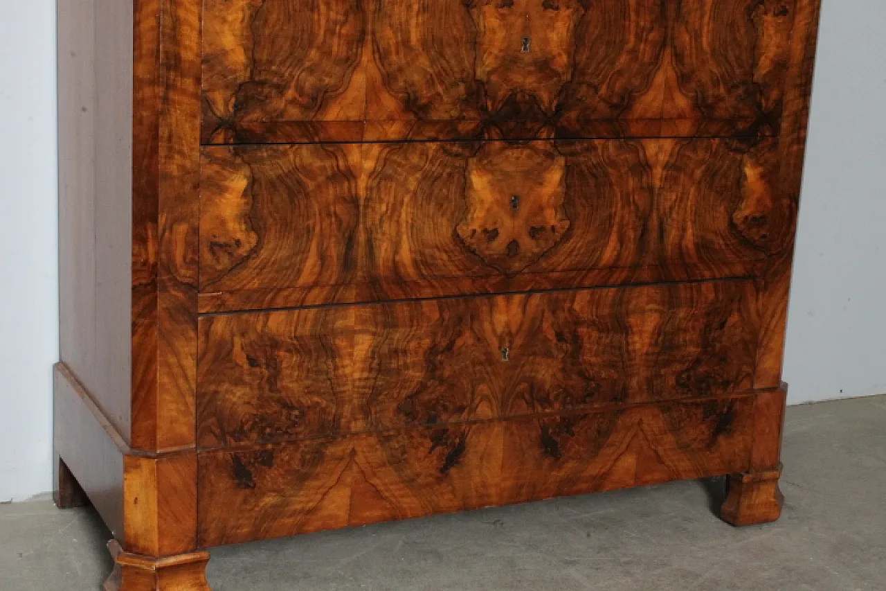 Cappuccino Louis Philippe chest of drawers in walnut, 1860s 3