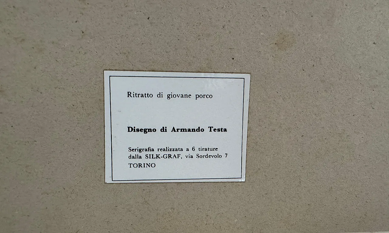 Ritratto di giovane porco di Armando Testa, serigrafia, anni '60 8