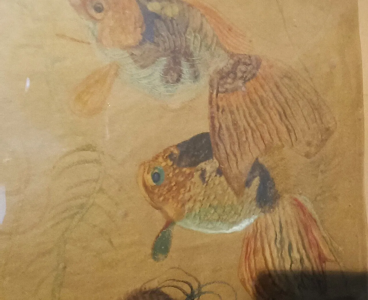 Fish by Silvio Polloni, mixed media on paper, 1920s 4