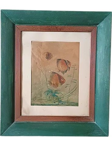 Fish by Silvio Polloni, mixed technical painting, 1920s