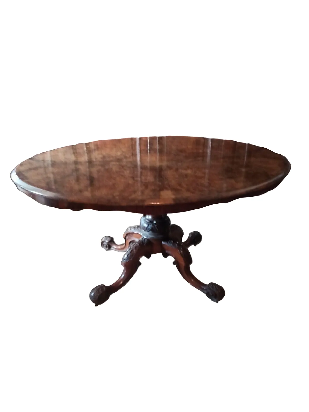 Solid mahogany and walnut root table, 19th century 1