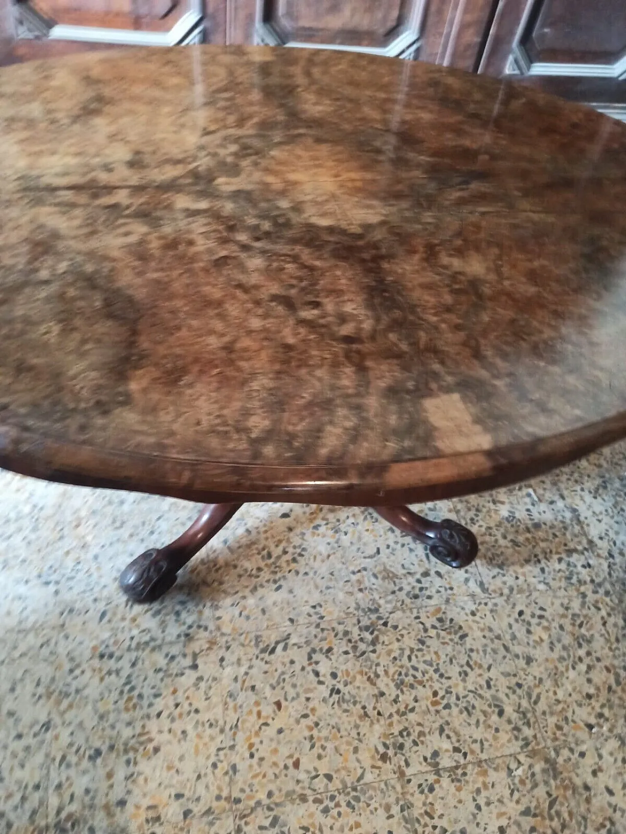 Solid mahogany and walnut root table, 19th century 9