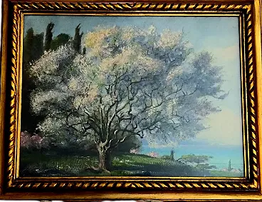 Painting Edgardo Rossaro  Flowering Tree, 20th century