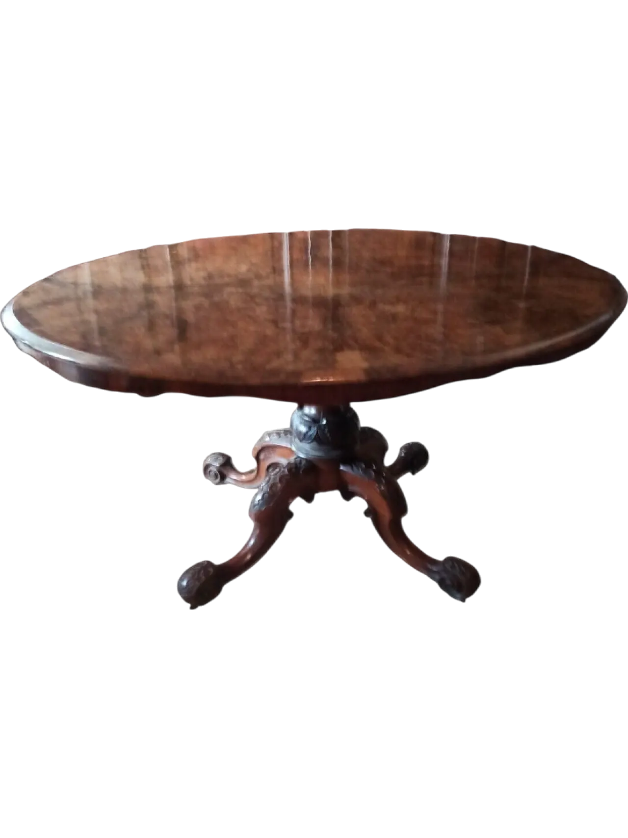 Solid mahogany and walnut root table, 19th century 10