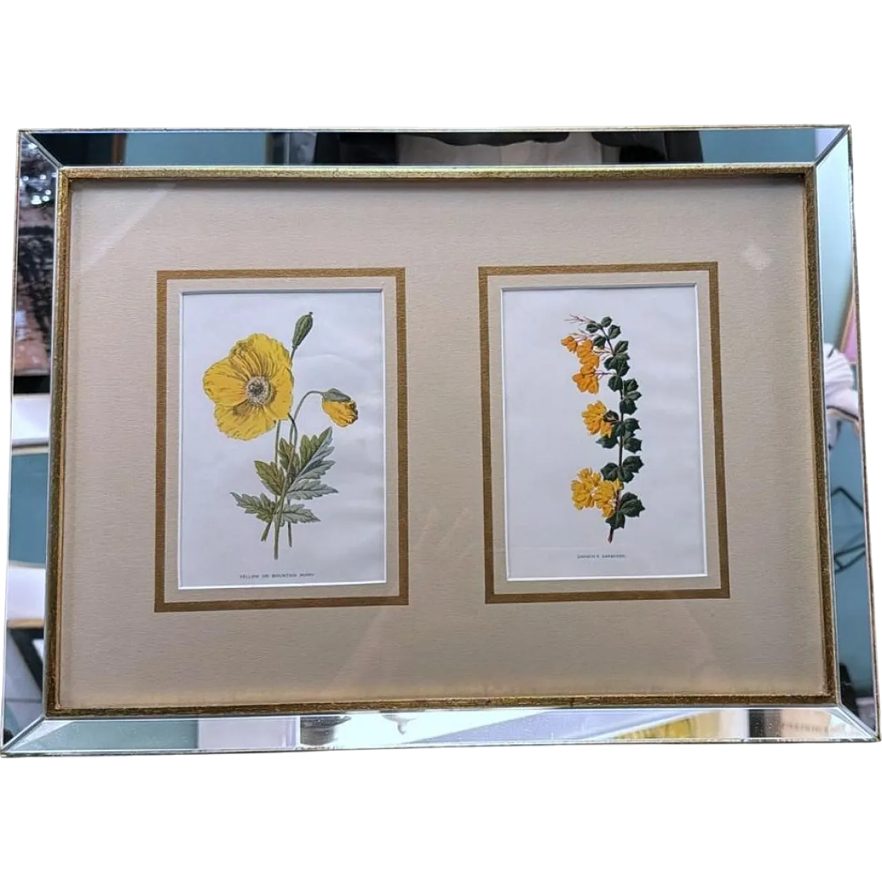 Cornice con specchi e stampe cromolitografiche inglesi di fiori, '900 13