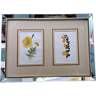 Cornice con specchi e stampe cromolitografiche inglesi di fiori, '900