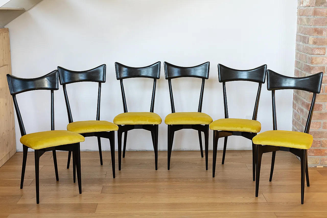 6 restored chairs in ebanized wood by Ico Parisi, 50s 1