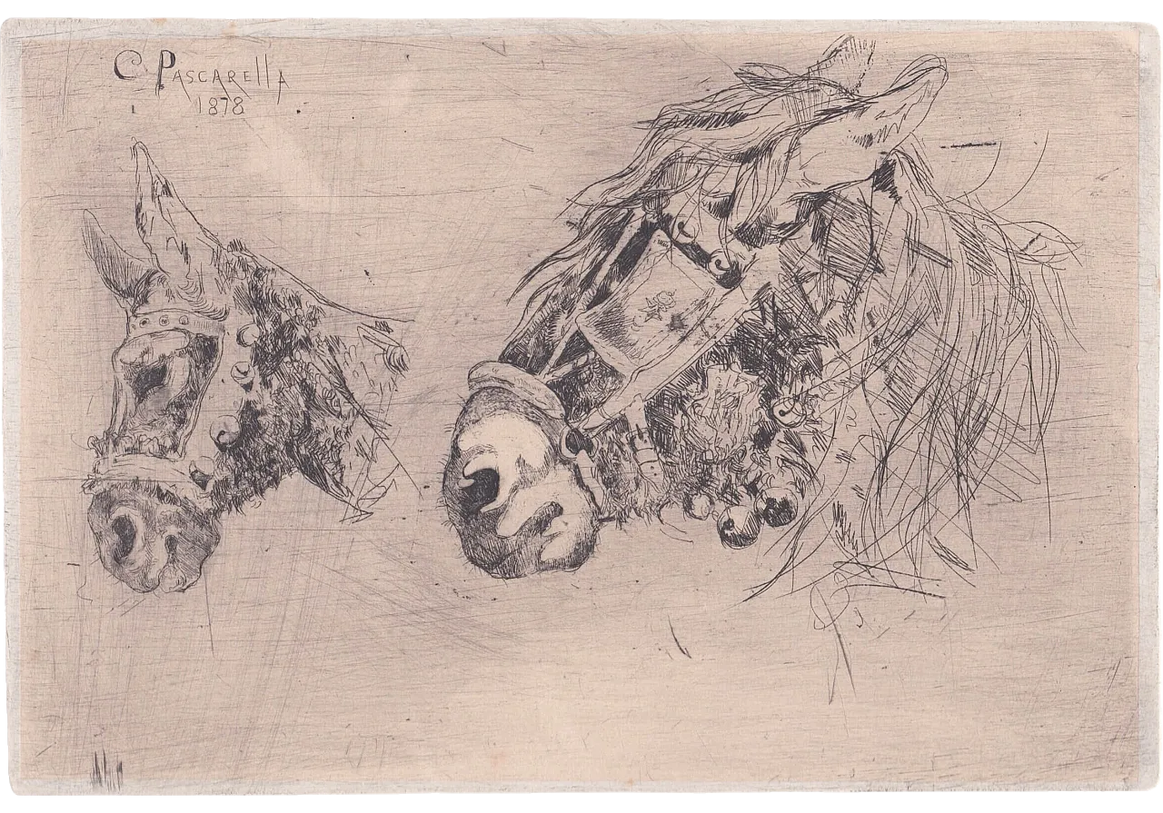 Cesare Pascarella, study of horse heads, etching, 1878 4