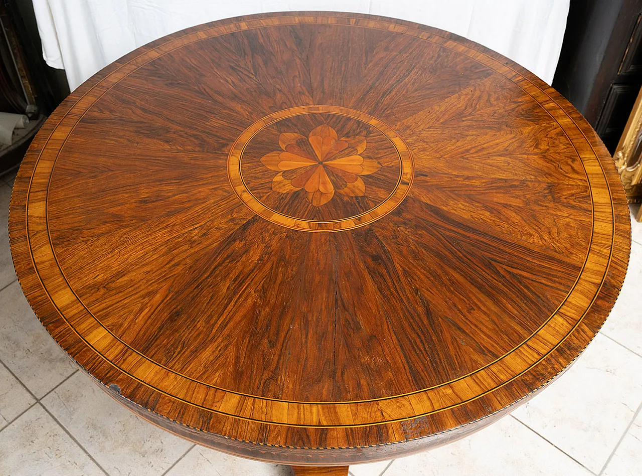 Neapolitan Empire round table in precious exotic woods, 19th century 3